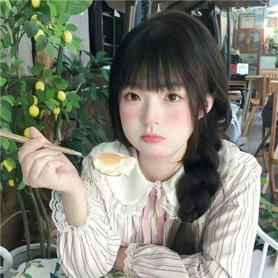 庇护棕榈树下